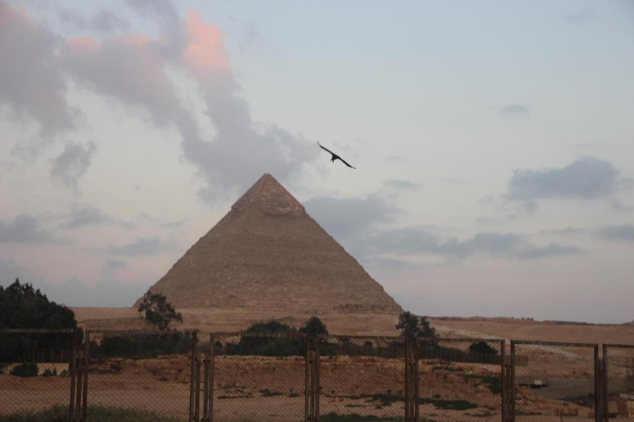 Farida Pyramids Boutique Hotel Kafret el-Gabal Exteriör bild